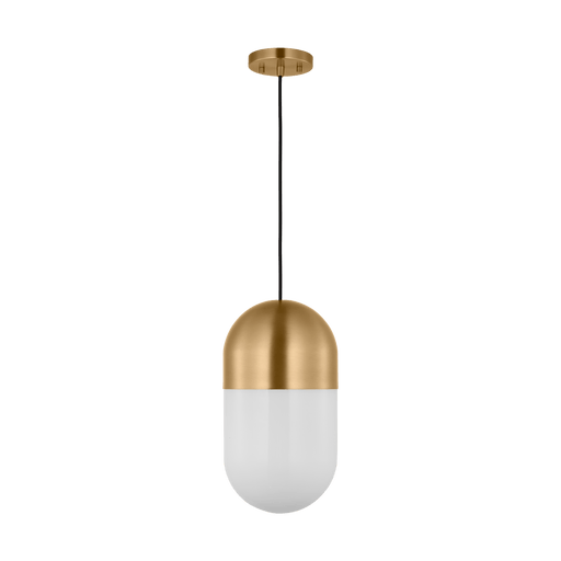 Foster Medium Pendant by Visual Comfort Studio