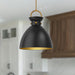 Waldo Pendant by Alora Lighting