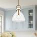 Waldo Pendant by Alora Lighting