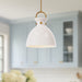 Waldo Pendant by Alora Lighting