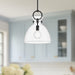 Waldo Pendant by Alora Lighting