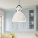 Waldo Pendant by Alora Lighting