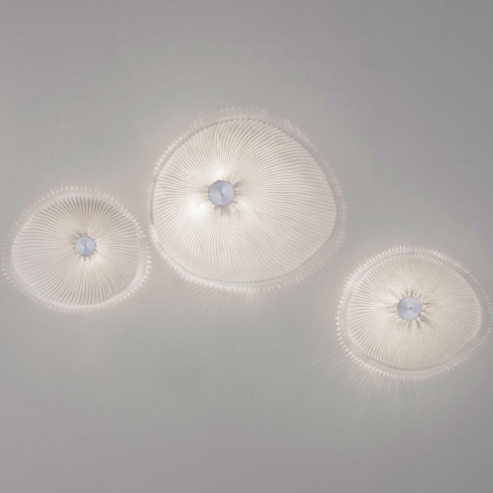 a-emotional light Onn Wall Sconce