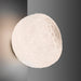 Artemide Meteorite Ceiling/Wall Light