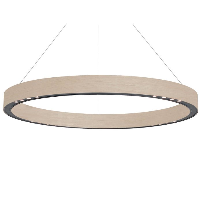 B.Lux R2 Up / Down Pendant