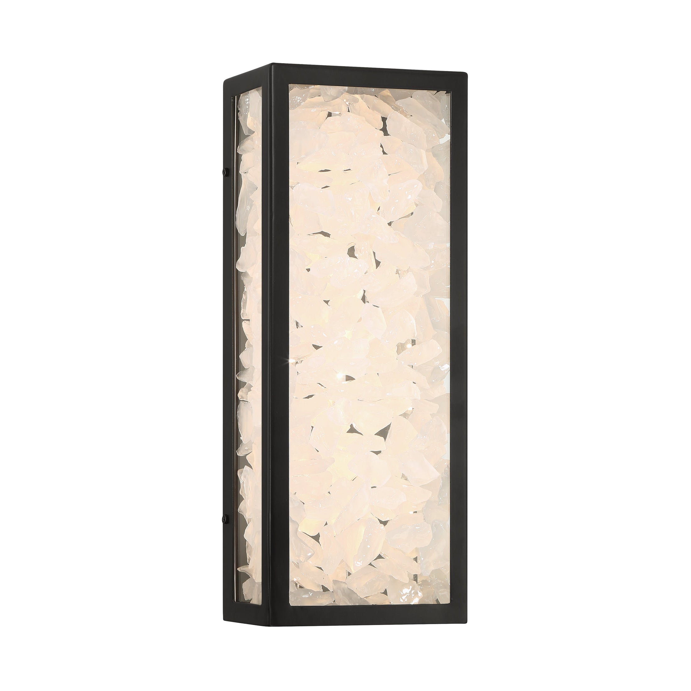 Salt Creek LED Outdoor Wall Mount Sconce In Coal black Finish with Clear Acrylic Shade Polished Quartz - Minka-Lavery