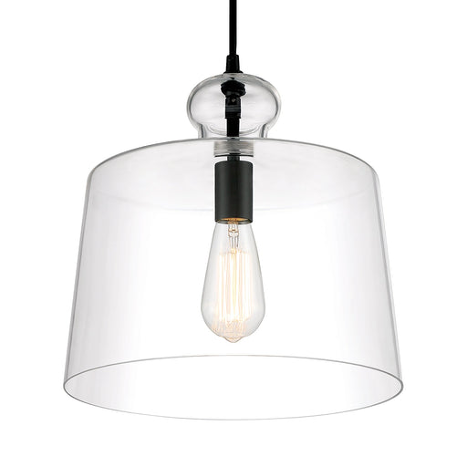 Clarity Clarity - 1 Light Pendant in Coal with Clear Glass Shade - Minka-Lavery