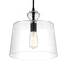Clarity Clarity - 1 Light Pendant in Coal with Clear Glass Shade - Minka-Lavery