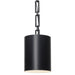 Crystorama Alston One Light Mini Chandelier