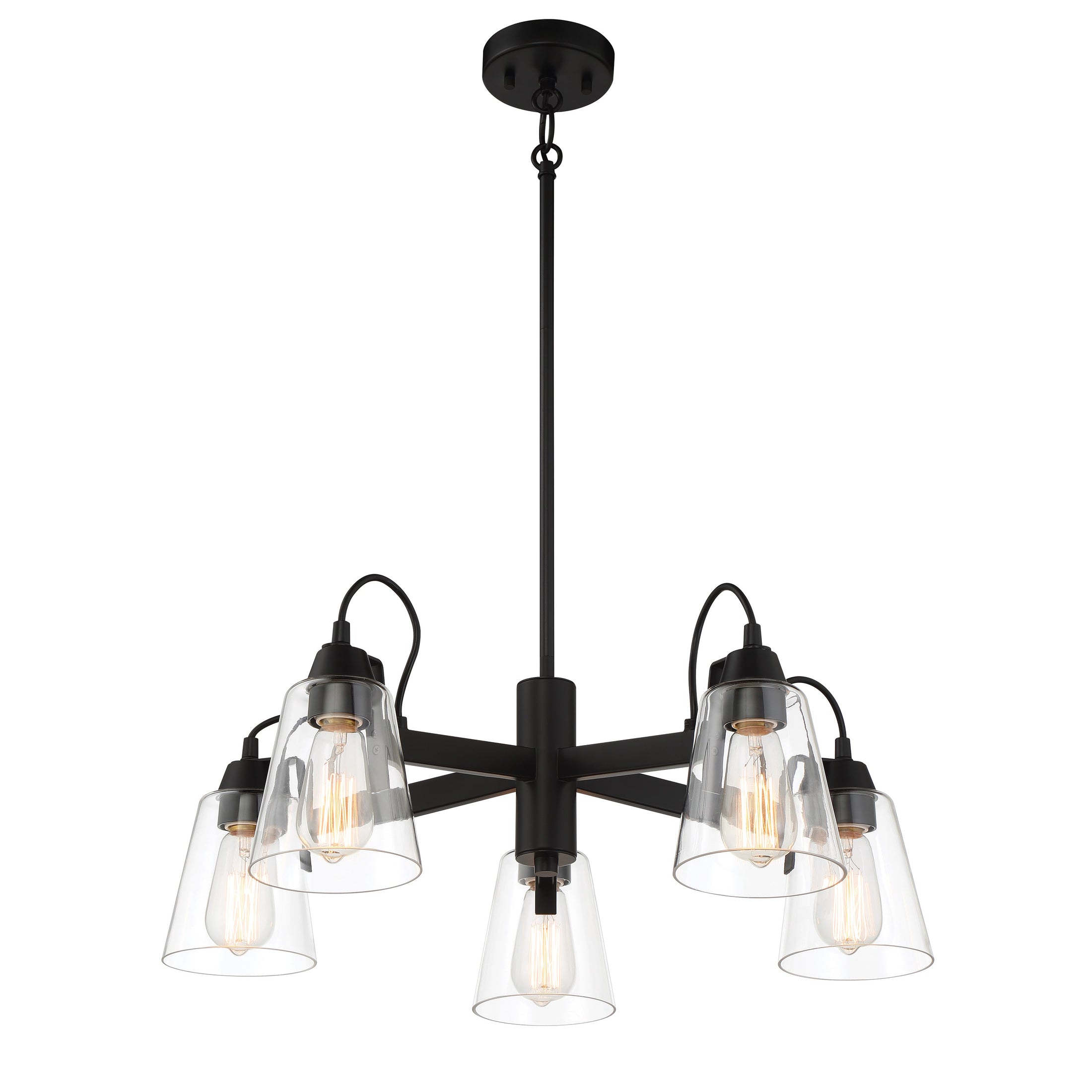 Beckonridge 5 Light Chandelier in Coal Finish with Clear Glass - Minka-Lavery
