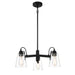 Beckonridge 3 Light Chandelier in Coal Finish with Clear Glass - Minka-Lavery
