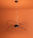 Hoops Pendant by Axolight