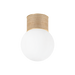 Hudson Valley Lighting Ardsley Flush Mount