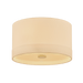 Hudson Valley Lighting Ashland Flush Mount