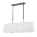 Hudson Valley Lighting Bowery Linear Suspension
