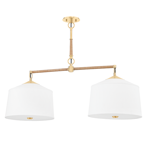 Hudson Valley Lighting White Plains Linear Suspension