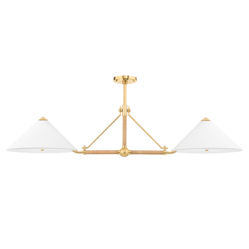Hudson Valley Lighting Williamsburg Linear Suspension