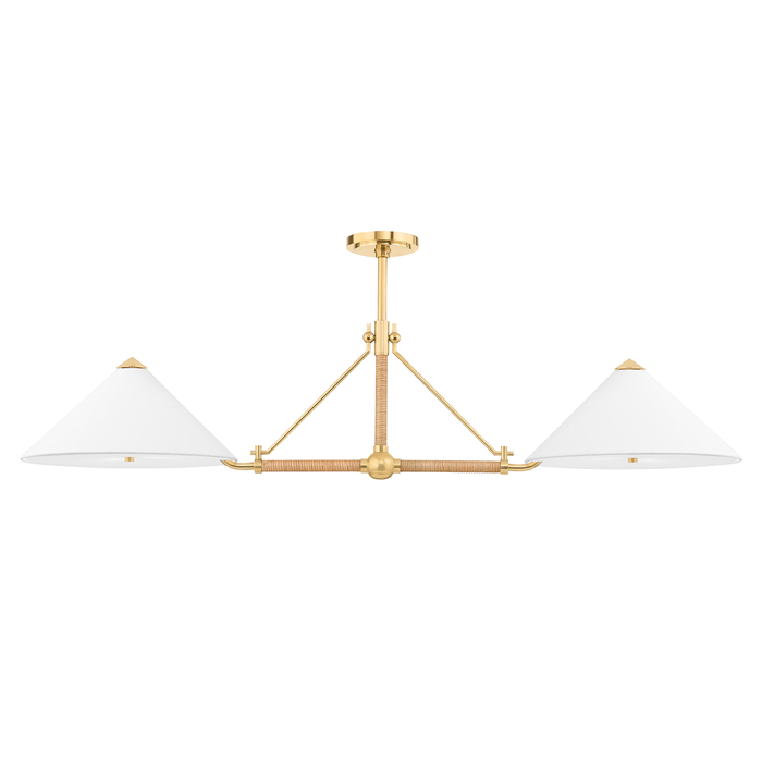 Hudson Valley Lighting Williamsburg Linear Suspension