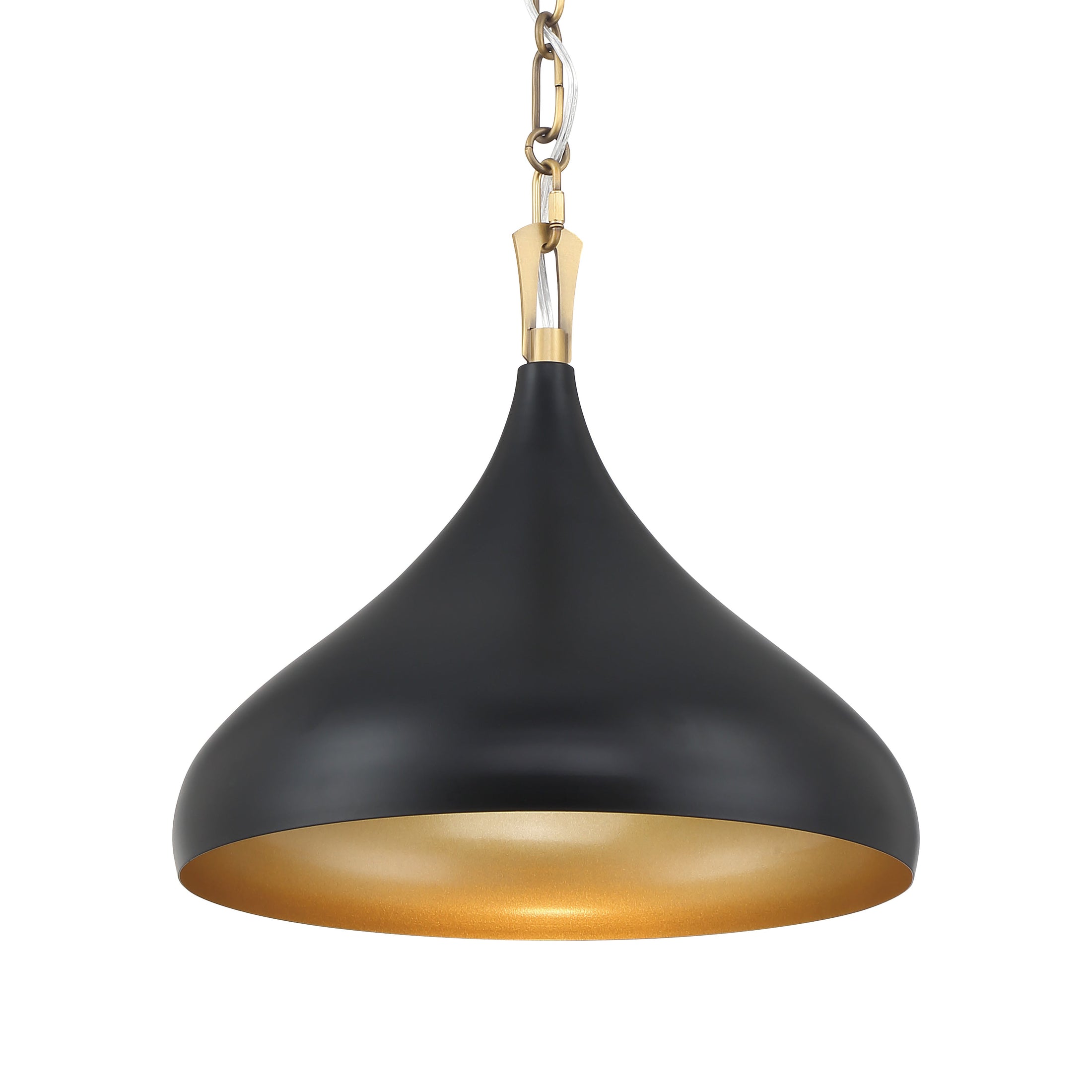 Cedar Lane 1-Light Pendant - Dark Matte Black and Legacy Brass - Minka-Lavery