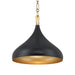 Cedar Lane 1-Light Pendant - Dark Matte Black and Legacy Brass - Minka-Lavery