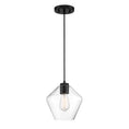 Load image into Gallery viewer, Clarity Clarity - 1 Light Pendant in Coal Finish with Clear Glass - Minka-Lavery

