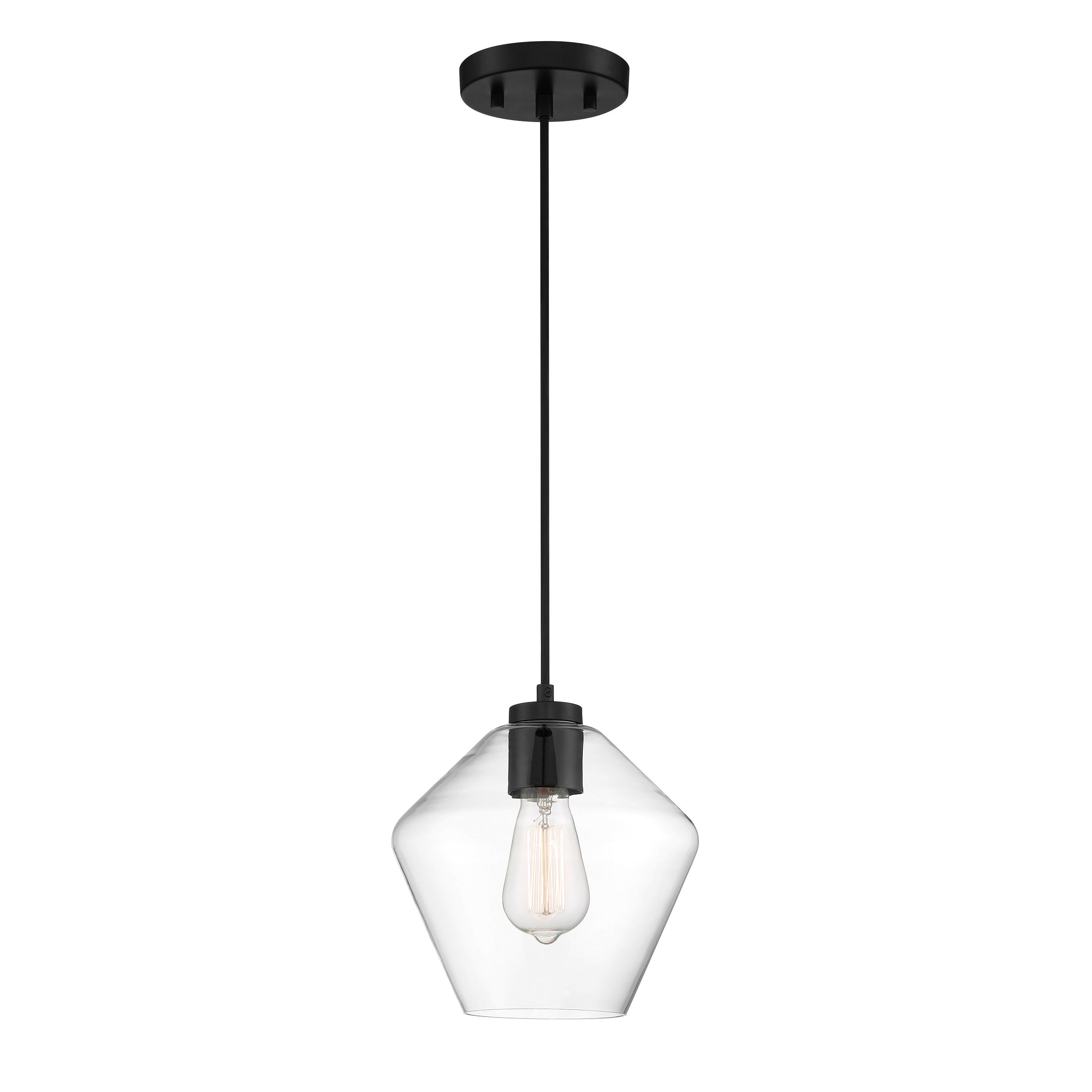 Clarity Clarity - 1 Light Pendant in Coal Finish with Clear Glass - Minka-Lavery
