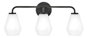 Lark Gio Medium Three Light Vanity