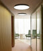 Luceplan Compendium Plate LED Wall / Flushmount
