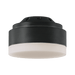 Aspen LED Light Kit in Aged Pewter by Visual Comfort Fan