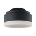 Aspen LED Light Kit in Midnight Black by Visual Comfort Fan