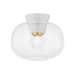 Mitzi Ariella Flush Mount