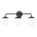 Mitzi Paige Vanity Light