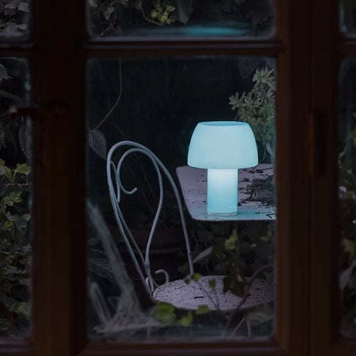 Nemo Lorosae LED Table Lamp