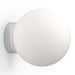 Pablo Bola Sphere Wall / Ceiling Light