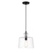 Clarity Clarity - 1 Light Pendant in Coal with Clear Glass Shade - Minka-Lavery