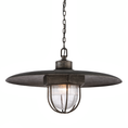 Load image into Gallery viewer, Troy Lighting Acme Pendant
