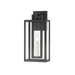Troy Lighting Amire Outdoor Wall Sconce