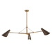 Troy Lighting Andersen Chandelier