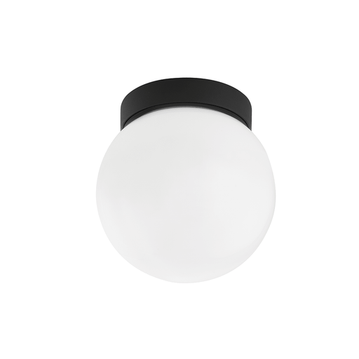 Troy Lighting Ansel Outdoor Wall Sconce