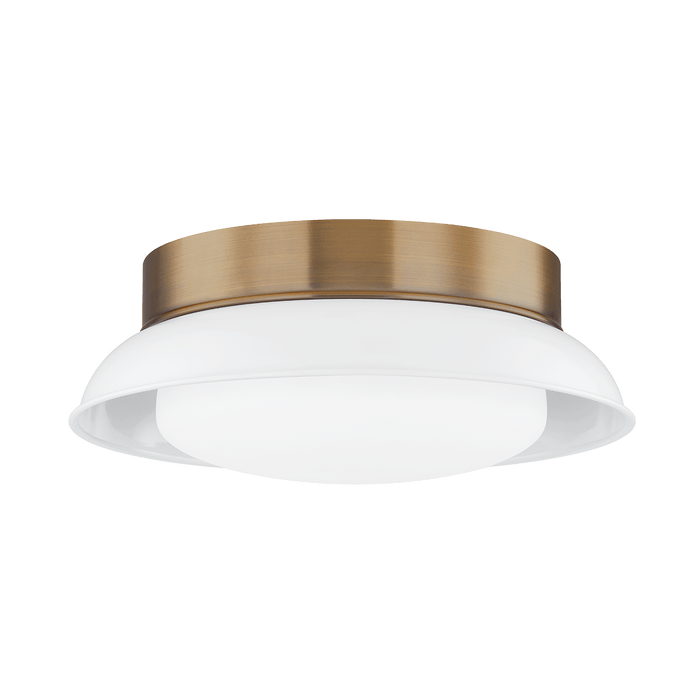 Troy Lighting Arnie Flush Mount