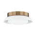 Troy Lighting Arnie Flush Mount