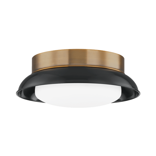 Troy Lighting Arnie Flush Mount