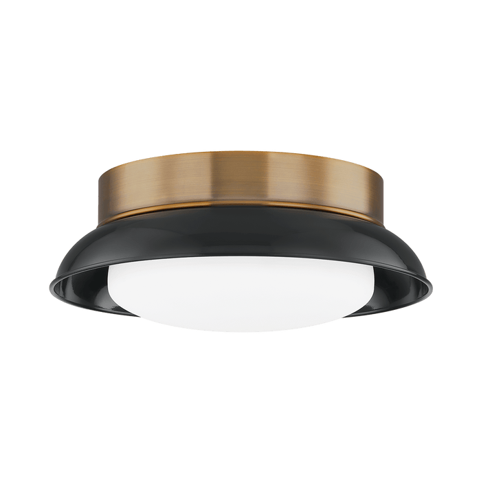 Troy Lighting Arnie Flush Mount