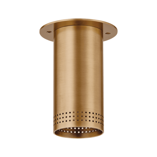Troy Lighting Berg Flush Mount