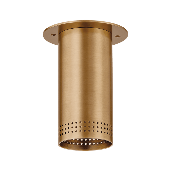 Troy Lighting Berg Flush Mount