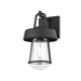 Troy Lighting Brady Outdoor Wall Sconce
