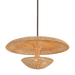 Troy Lighting Draco Pendant