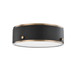 Troy Lighting Eli Flush Mount
