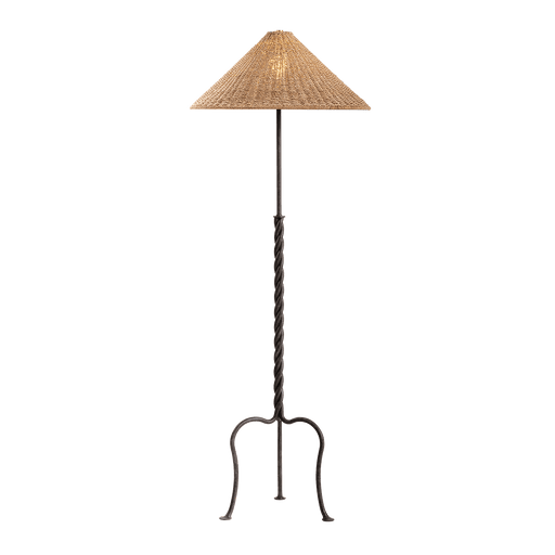 Troy Lighting Francisco Floor Lamp