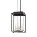 Troy Lighting Hart Pendant